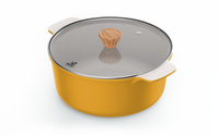 Casserole Pot 28cm